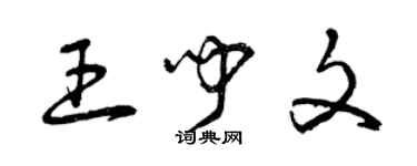 曾慶福王聞文草書個性簽名怎么寫