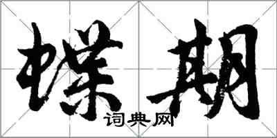 胡問遂蝶期行書怎么寫