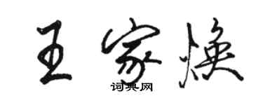 駱恆光王家煥行書個性簽名怎么寫