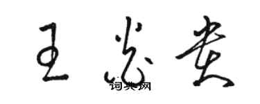 駱恆光王炎貴草書個性簽名怎么寫