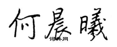王正良何晨曦行書個性簽名怎么寫