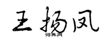 曾慶福王揚鳳行書個性簽名怎么寫