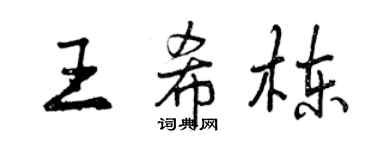 曾慶福王希棟行書個性簽名怎么寫