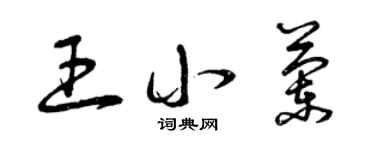 曾慶福王小蘭草書個性簽名怎么寫