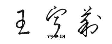 駱恆光王寧莉草書個性簽名怎么寫