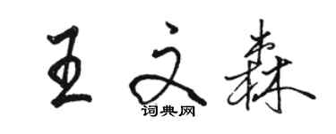 駱恆光王文森行書個性簽名怎么寫