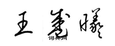 梁錦英王盛曦草書個性簽名怎么寫