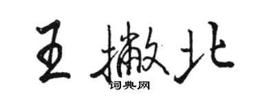 駱恆光王撇北行書個性簽名怎么寫