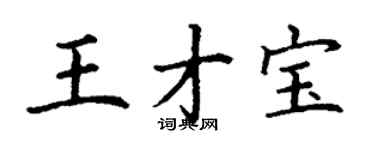 丁謙王才寶楷書個性簽名怎么寫