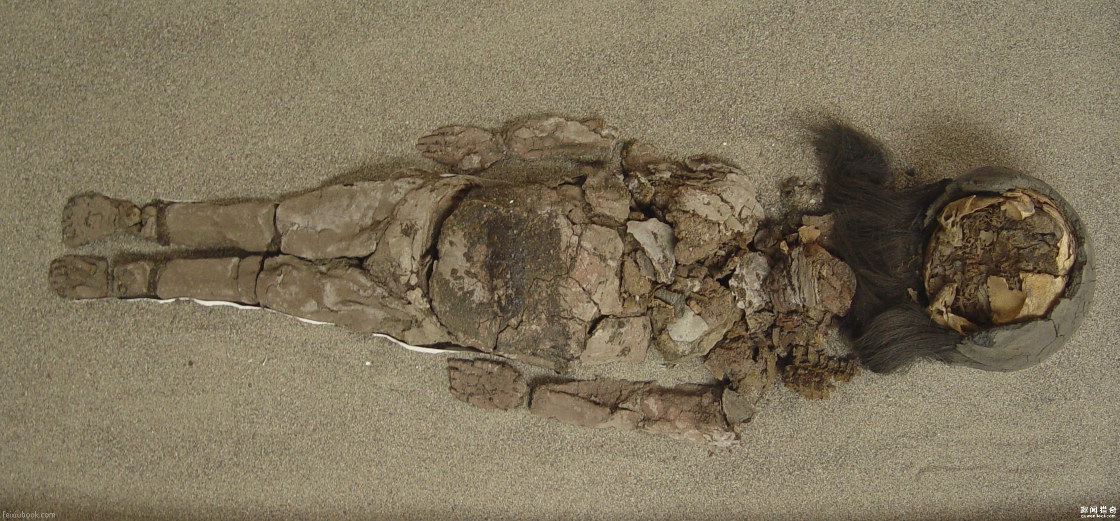 智利發現超古老木乃伊 比埃及木乃伊還早數千年