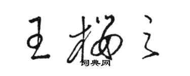 駱恆光王櫻之草書個性簽名怎么寫