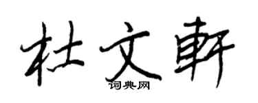 王正良杜文軒行書個性簽名怎么寫