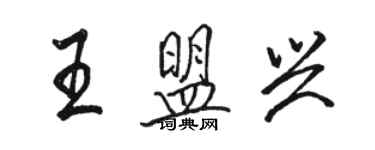 駱恆光王盟興行書個性簽名怎么寫