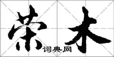 胡問遂榮木行書怎么寫