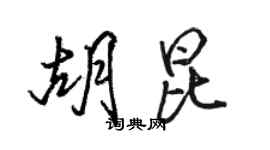 駱恆光胡昆行書個性簽名怎么寫