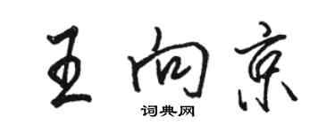 駱恆光王向京行書個性簽名怎么寫