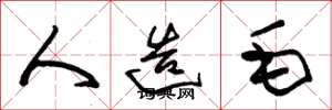 朱錫榮人造毛草書怎么寫