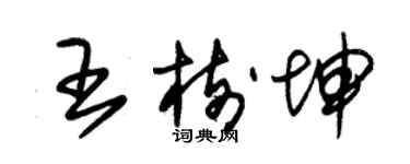 朱錫榮王樹坤草書個性簽名怎么寫