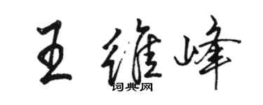 駱恆光王維峰行書個性簽名怎么寫