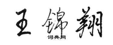 駱恆光王錦翔行書個性簽名怎么寫