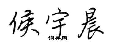 王正良侯宇晨行書個性簽名怎么寫