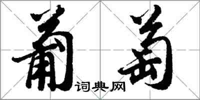 胡問遂葡萄行書怎么寫