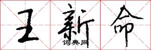 王新命怎么寫好看