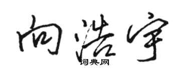 駱恆光向浩宇行書個性簽名怎么寫