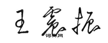 駱恆光王震振草書個性簽名怎么寫