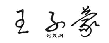 駱恆光王子蒙草書個性簽名怎么寫