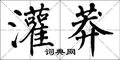 翁闓運灌莽楷書怎么寫