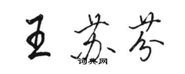 駱恆光王蘇芬行書個性簽名怎么寫