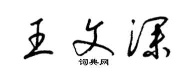 梁錦英王文深草書個性簽名怎么寫