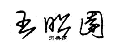 朱錫榮王昭園草書個性簽名怎么寫