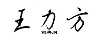 王正良王力方行書個性簽名怎么寫