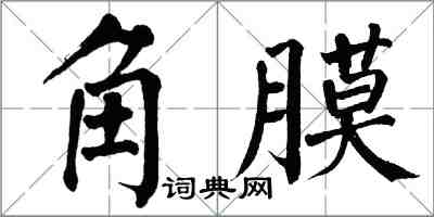 翁闓運角膜楷書怎么寫