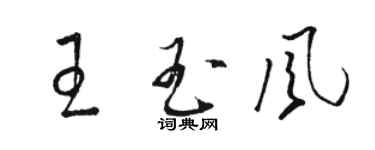 駱恆光王玉風草書個性簽名怎么寫
