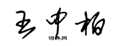 朱錫榮王中柏草書個性簽名怎么寫