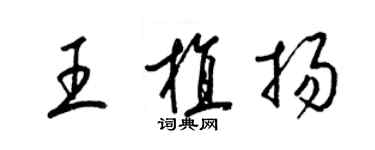 梁錦英王植揚草書個性簽名怎么寫