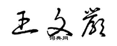 曾慶福王文嚴草書個性簽名怎么寫