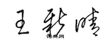 駱恆光王新晴草書個性簽名怎么寫