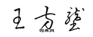 駱恆光王方壟草書個性簽名怎么寫
