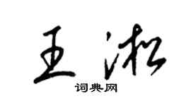 梁錦英王淞草書個性簽名怎么寫