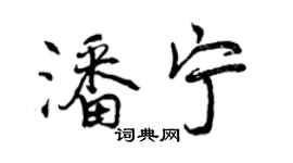 曾慶福潘寧行書個性簽名怎么寫