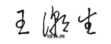 駱恆光王潮生草書個性簽名怎么寫