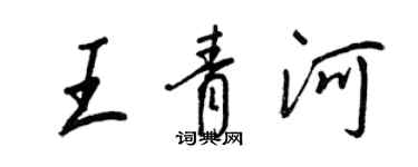 王正良王青河行書個性簽名怎么寫