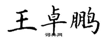 丁謙王卓鵬楷書個性簽名怎么寫