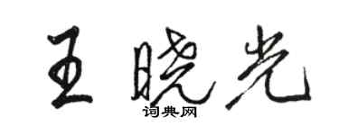 駱恆光王曉光行書個性簽名怎么寫