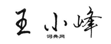 駱恆光王小峰行書個性簽名怎么寫