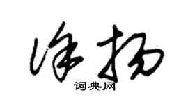 朱錫榮徐揚草書個性簽名怎么寫